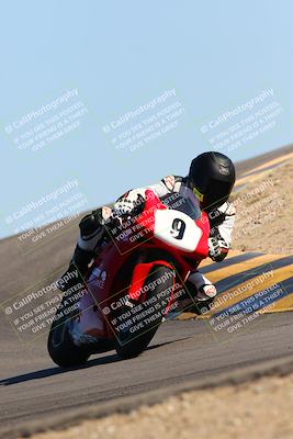 media/Feb-12-2022-SoCal Trackdays (Sat) [[3b21b94a56]]/Turn 12 (140pm)/